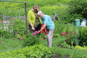 Assisted Living Resident in community garden